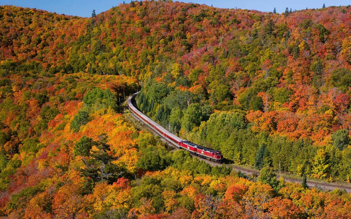 tour train